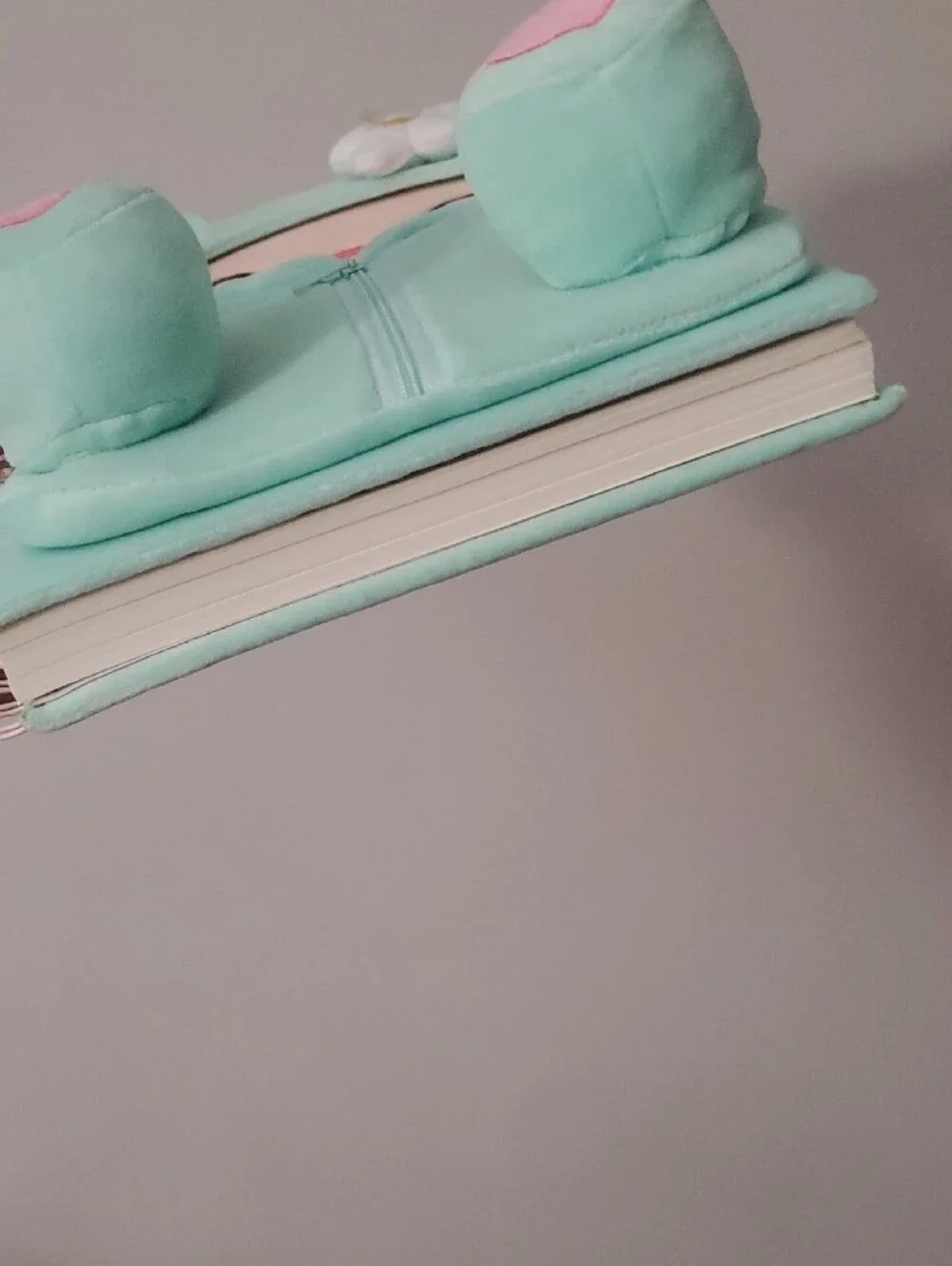 Chase Wonder Plush Zippered Kids Notebook - Mint with Pink Accents